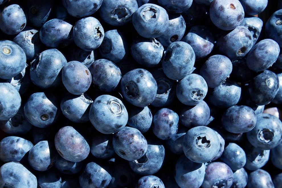 áfonya jótékony hatása